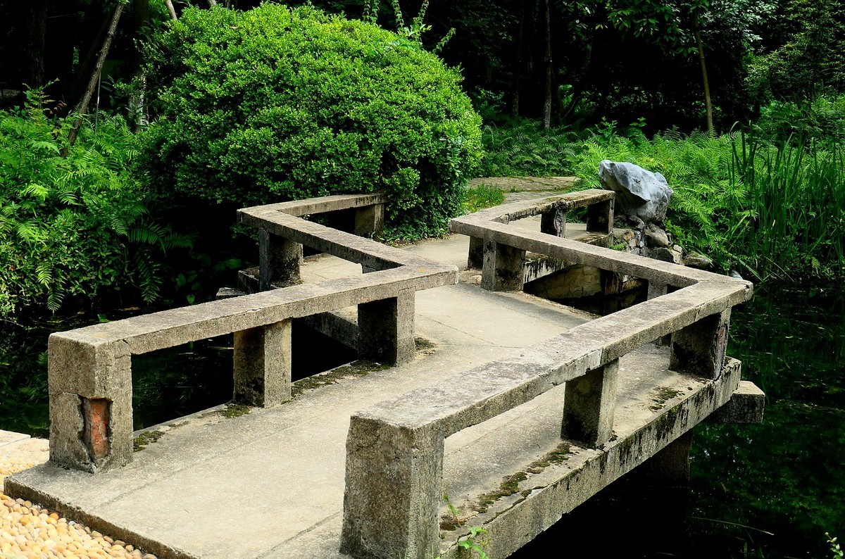 武汉植物园随拍一