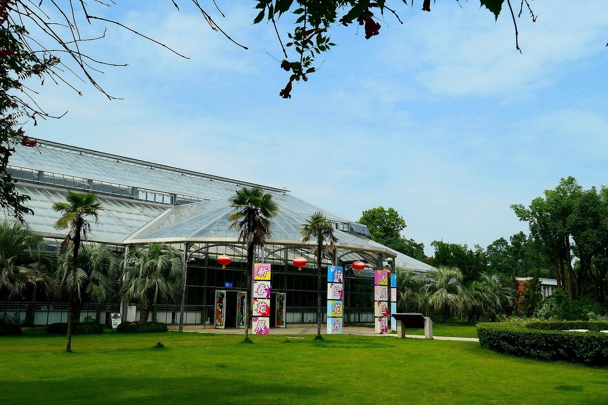 武汉植物园随拍一