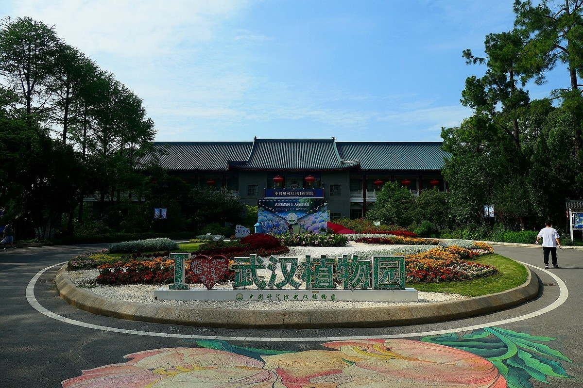 武汉植物园随拍一