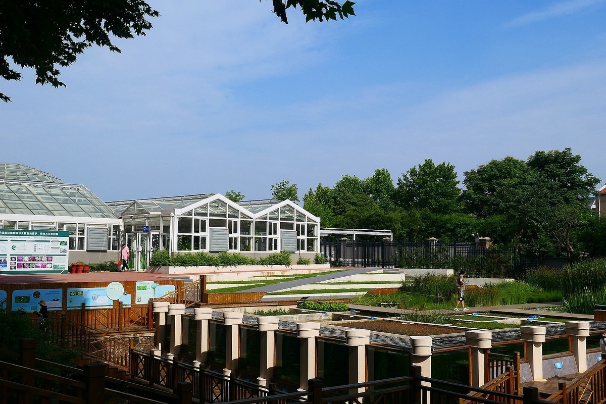 武汉植物园随拍一