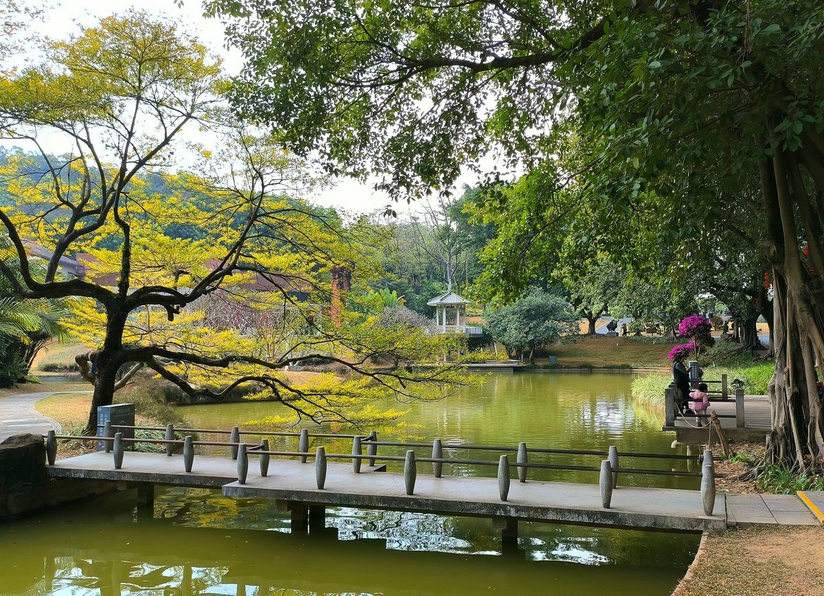 林中漫步。3