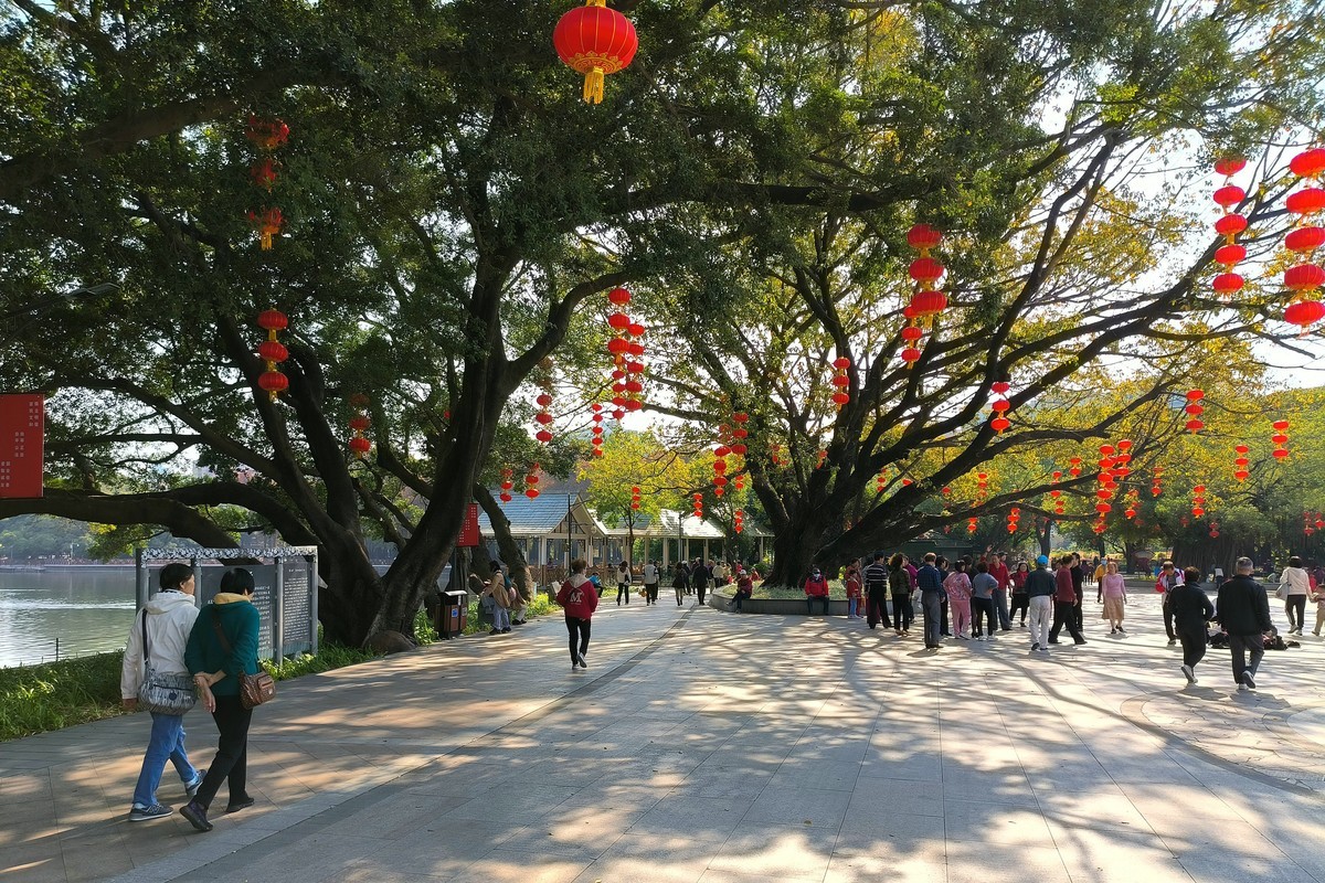 林中漫步。3