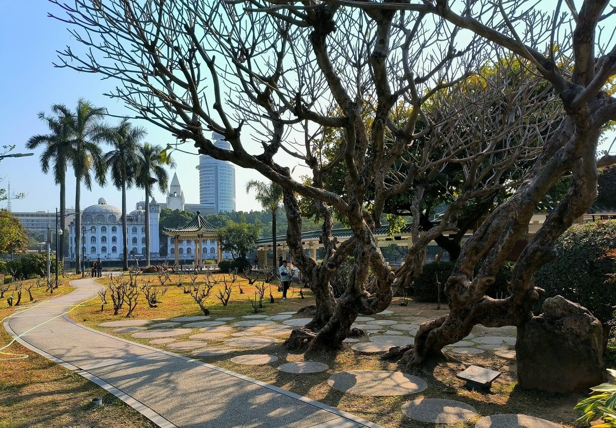 林中漫步。3