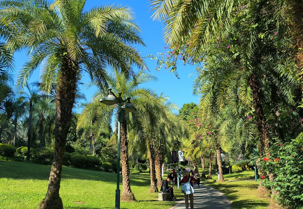 林中漫步。3
