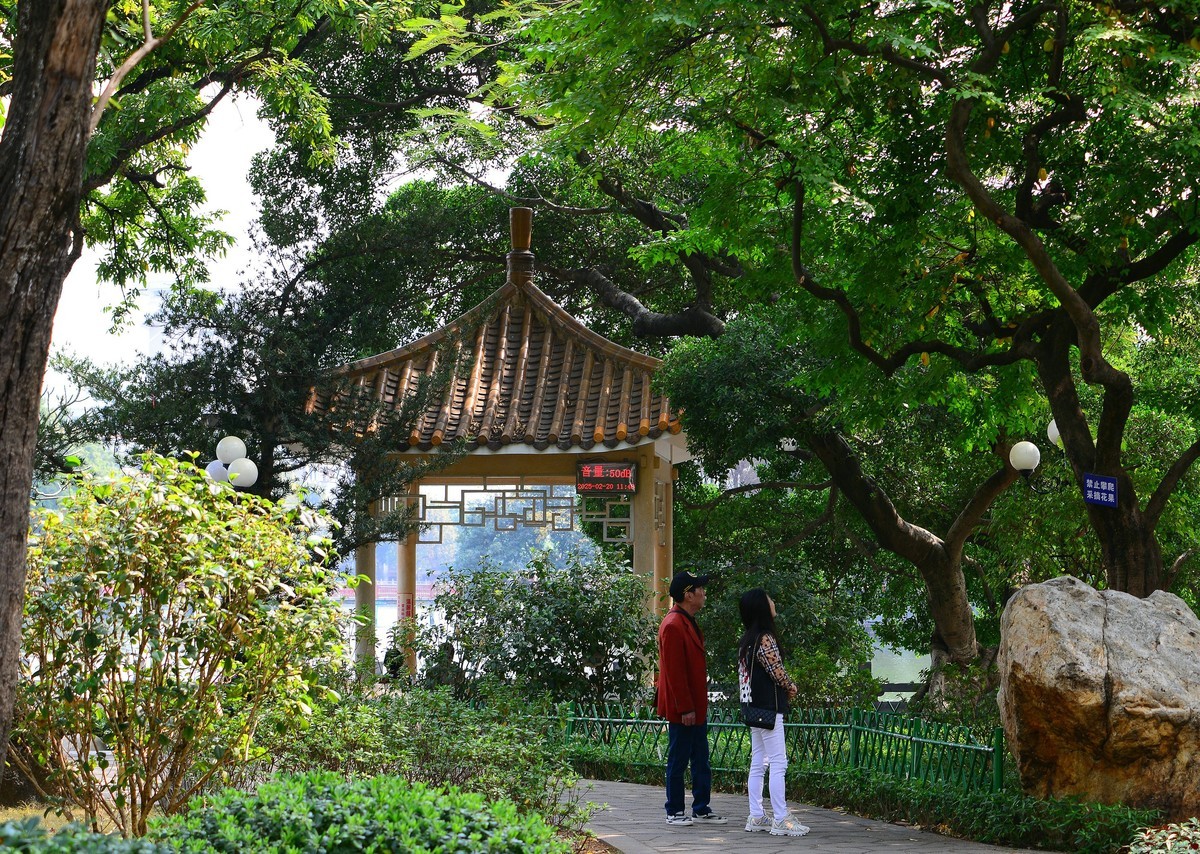 林中漫步。3