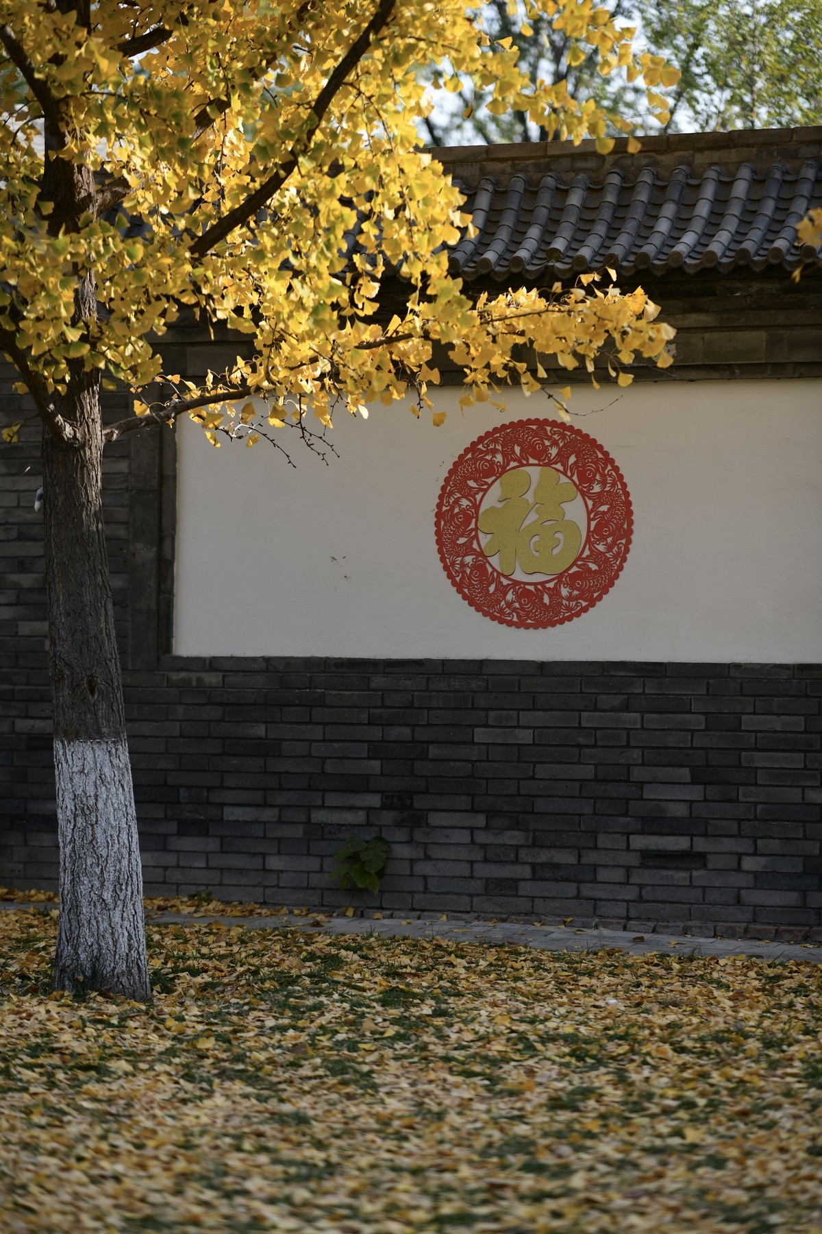 追着秋天的脚步