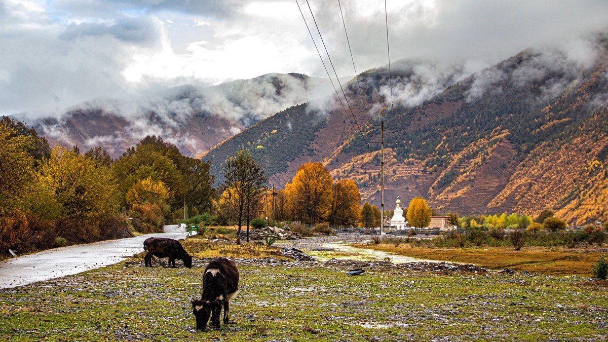 秋行川西高原--日头村【2】