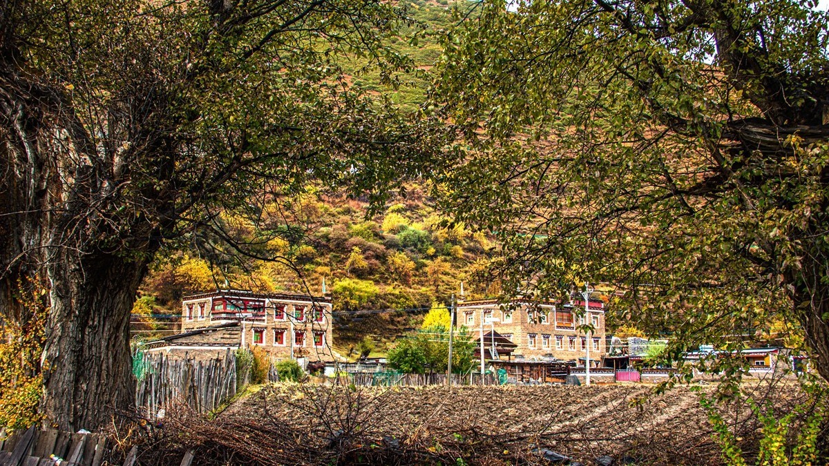 秋行川西高原--日头村【2】