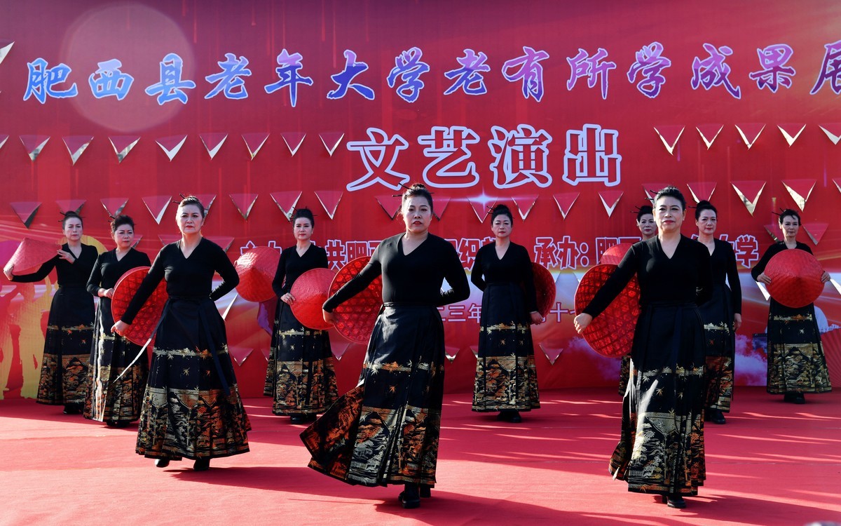 老有所学/县老年大学成果展演