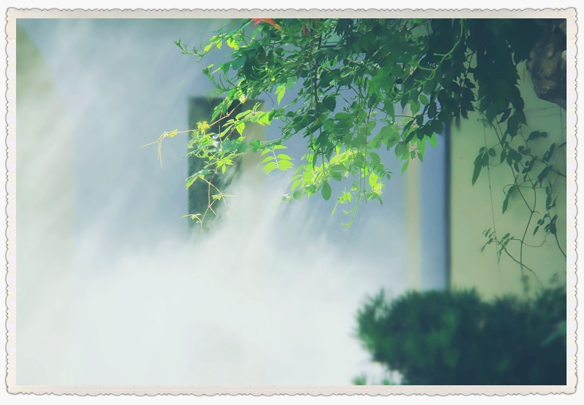 三季度随拍汇总