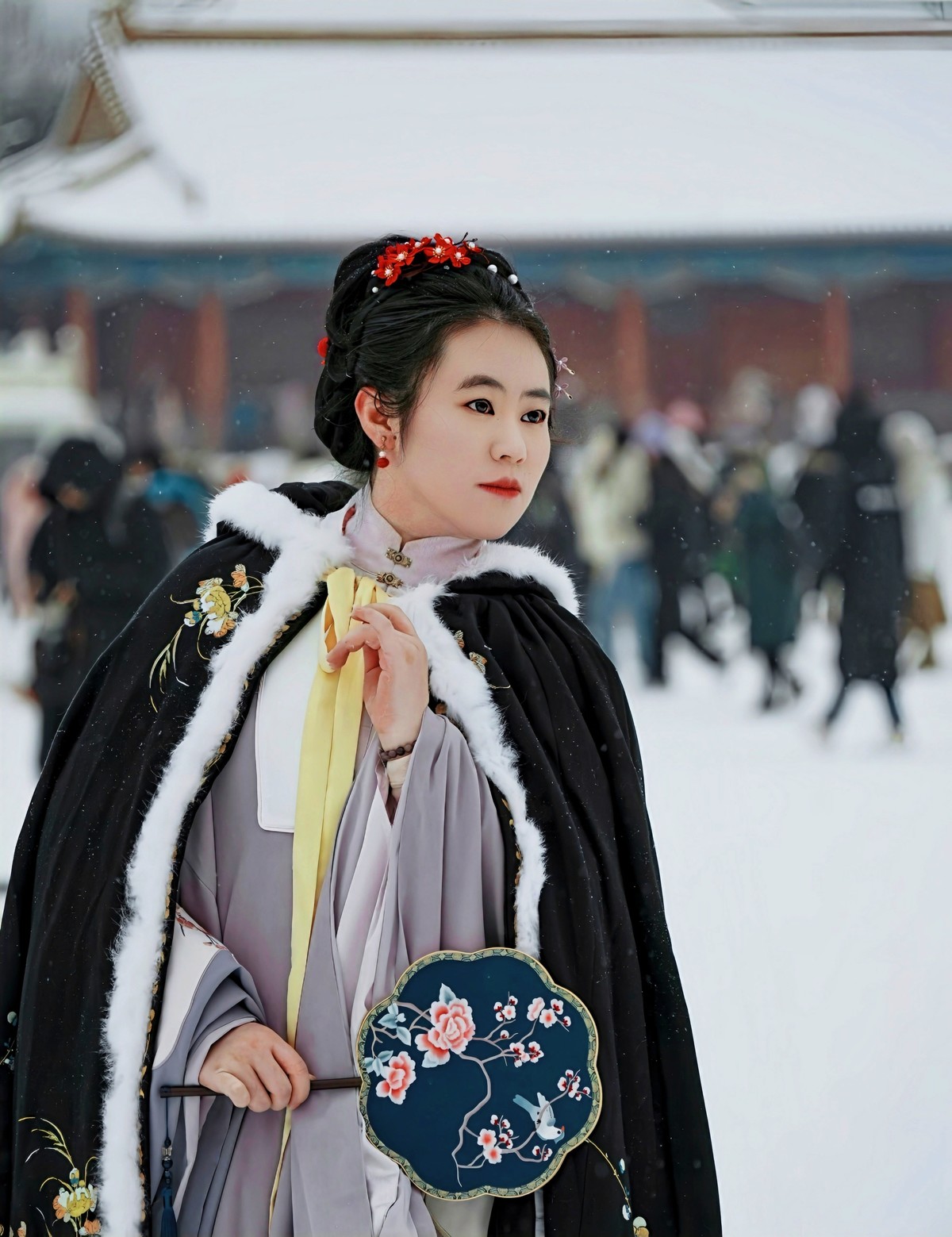 雪中游走故宫博物院20231214 《16》