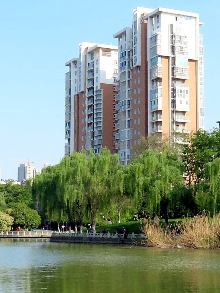 南城河风光