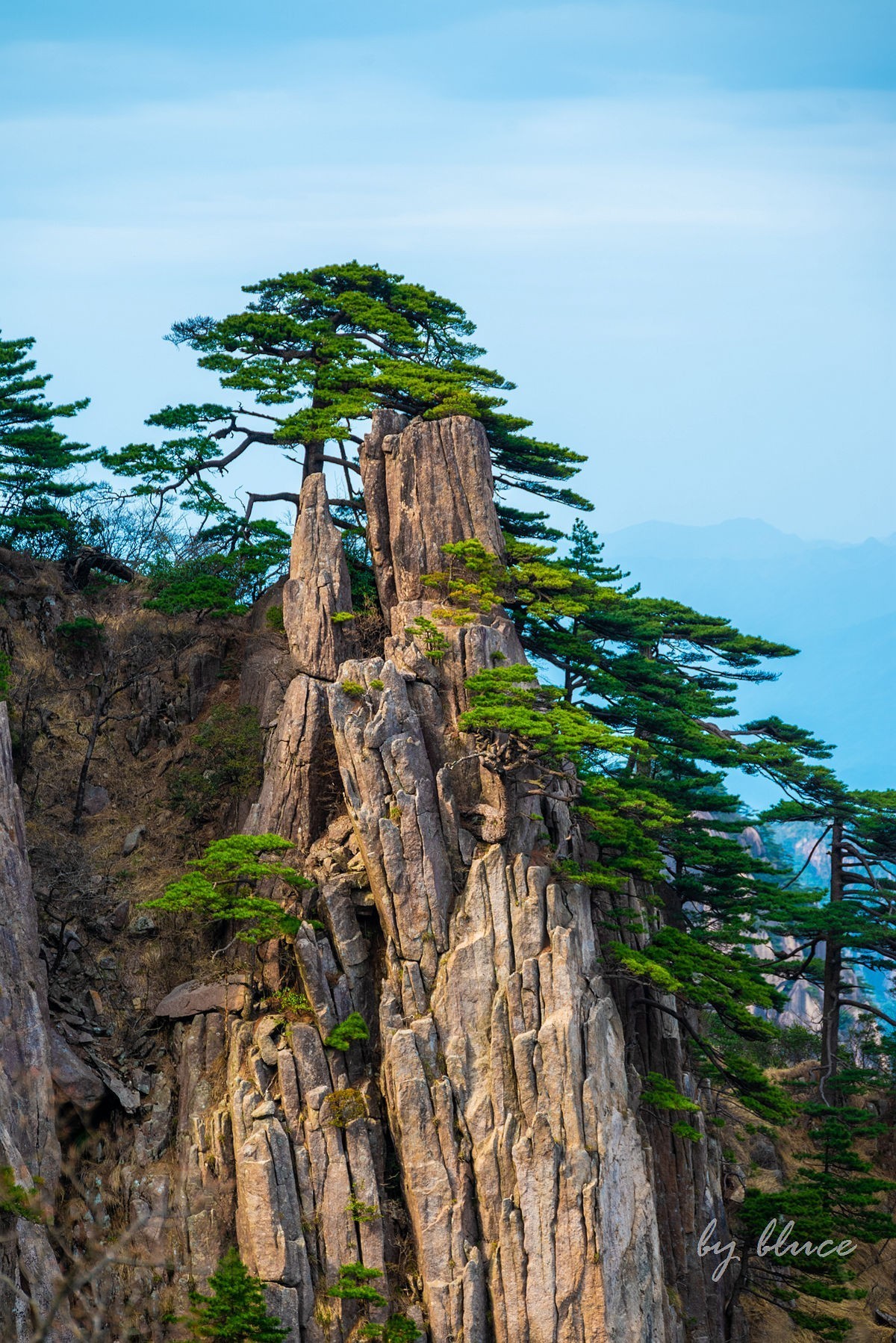 春游黄山（十）.......完