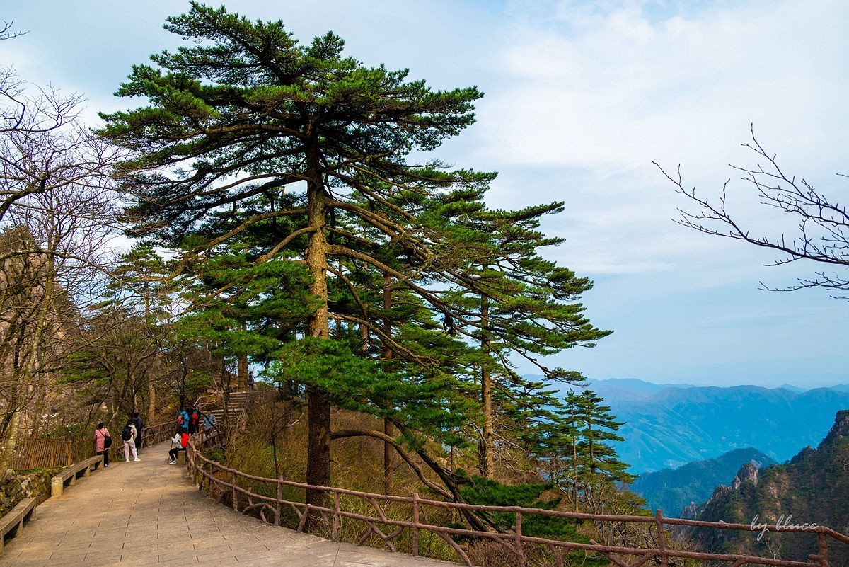 春游黄山（十）.......完