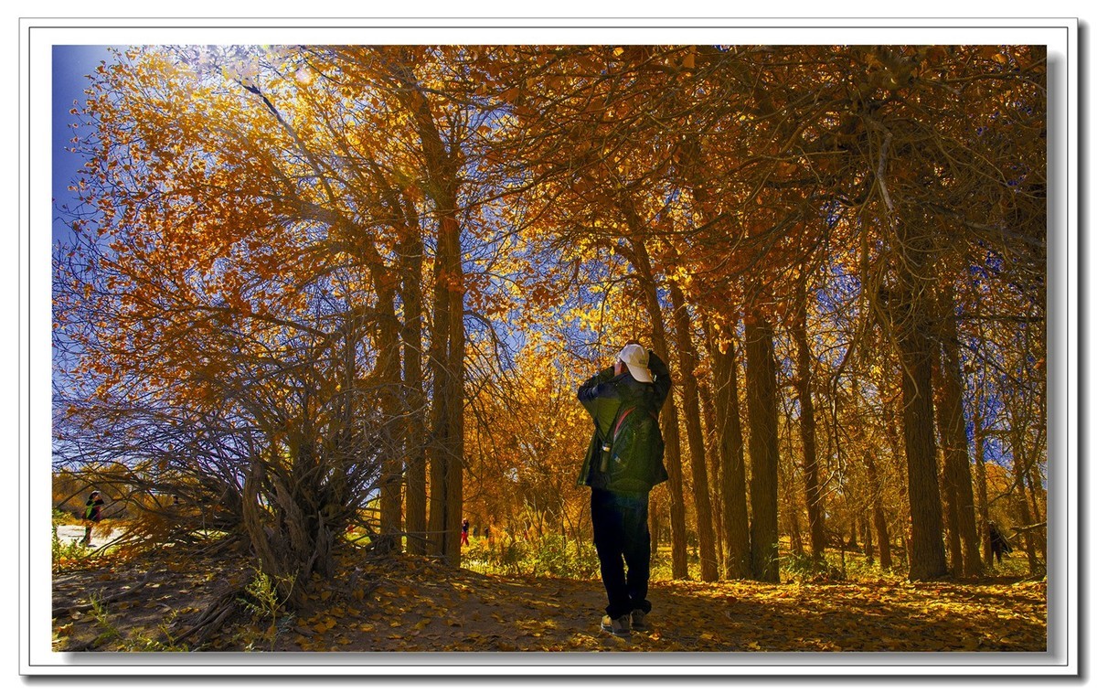 开往金秋的火车