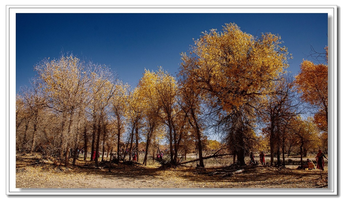 开往金秋的火车