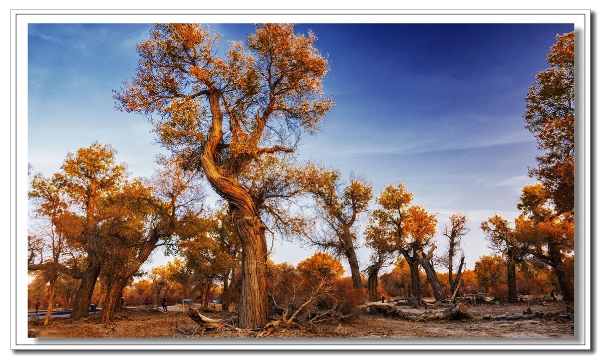 开往金秋的火车3