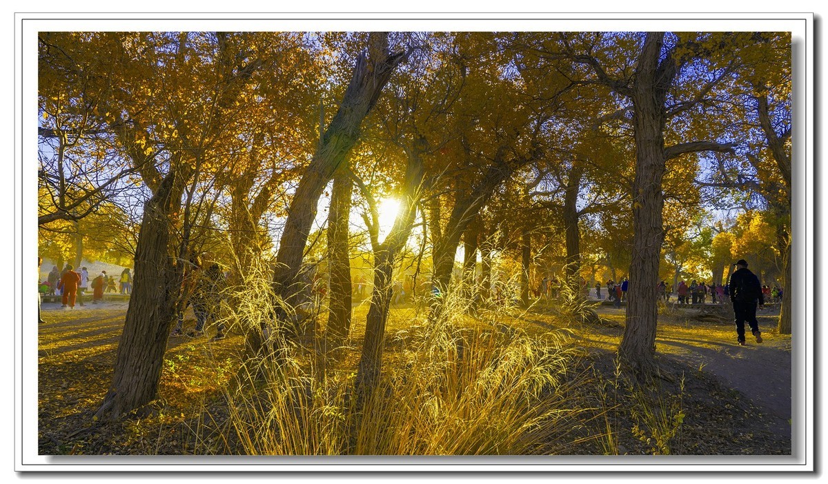 开往金秋的火车3