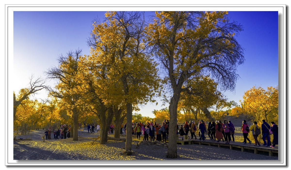 开往金秋的火车3