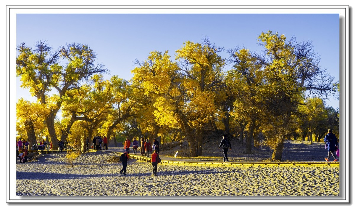 开往金秋的火车3