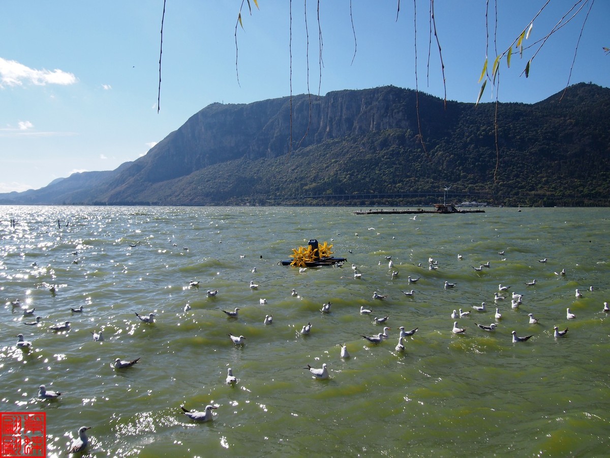 2023.12游滇池（11）