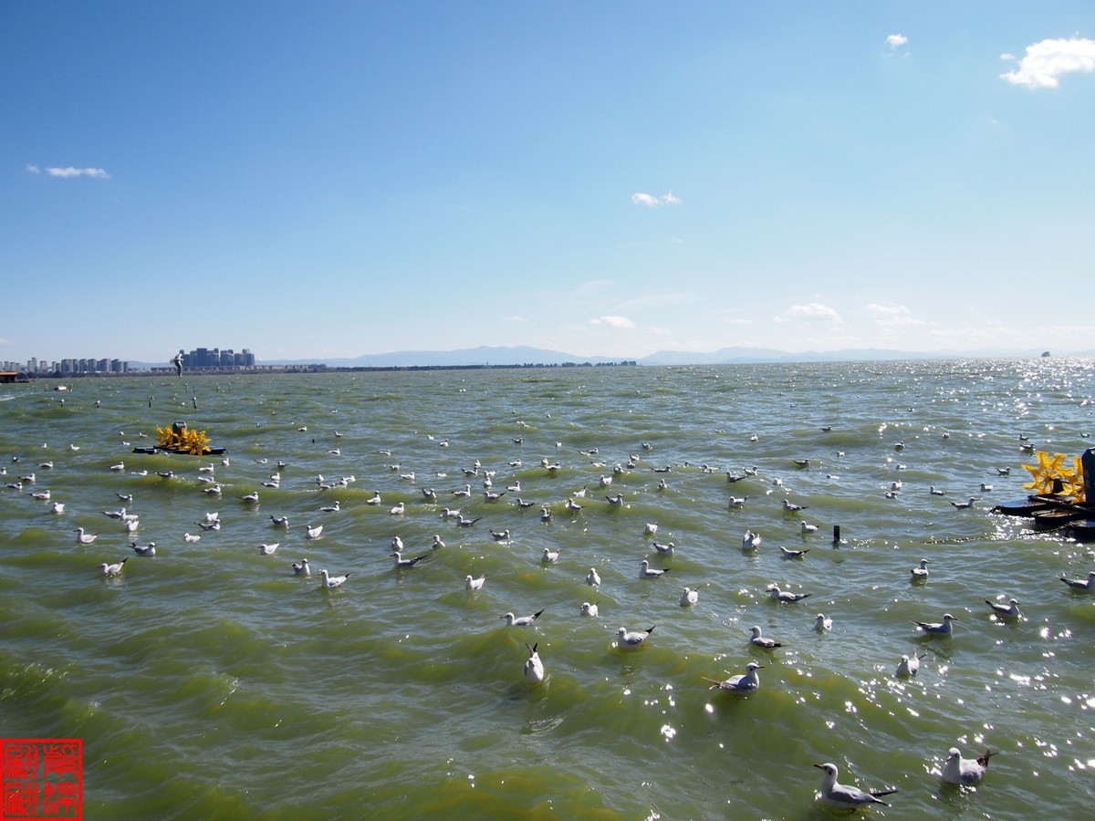 2023.12游滇池（11）