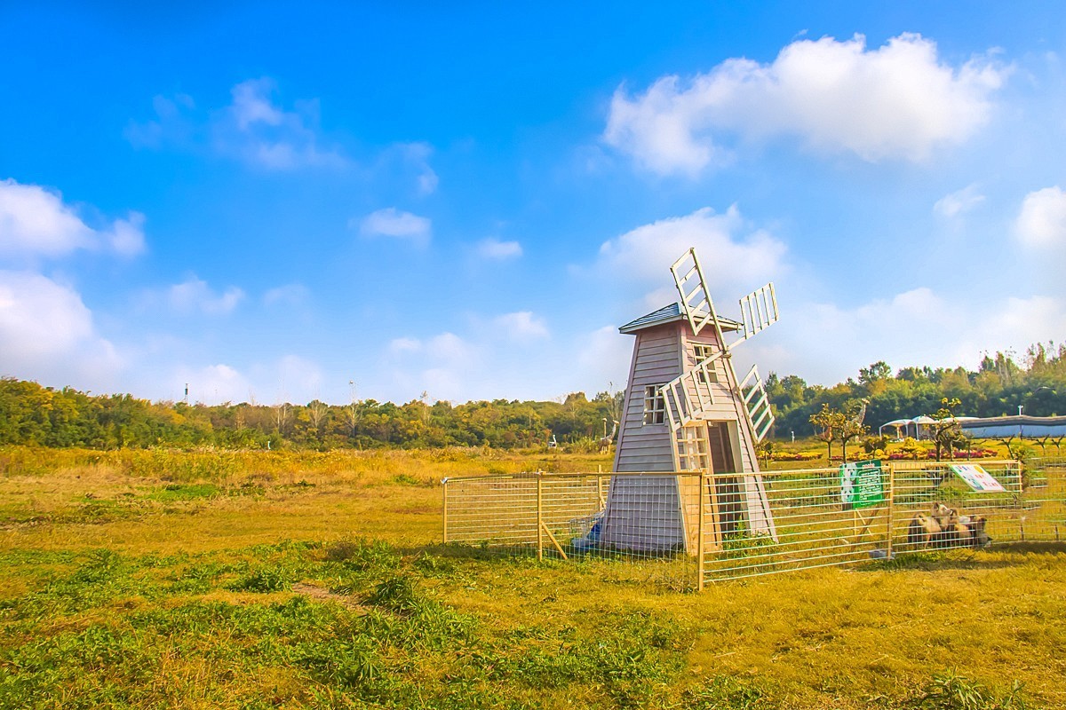 2024-11-12仪征白羊山户外猩球乐园（二）