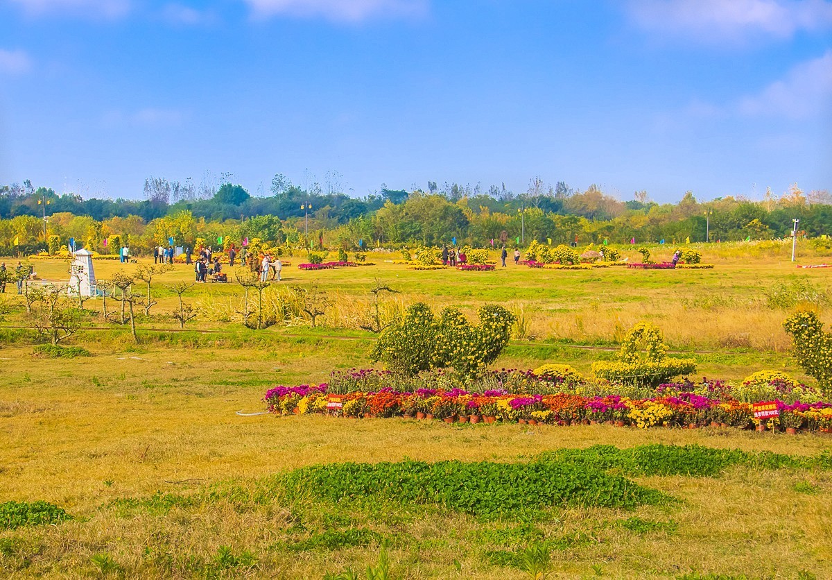 2024-11-12仪征白羊山户外猩球乐园（二）
