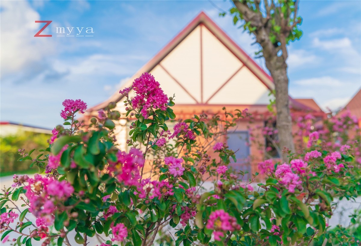 天气不错，体感舒适！手持高 ISO