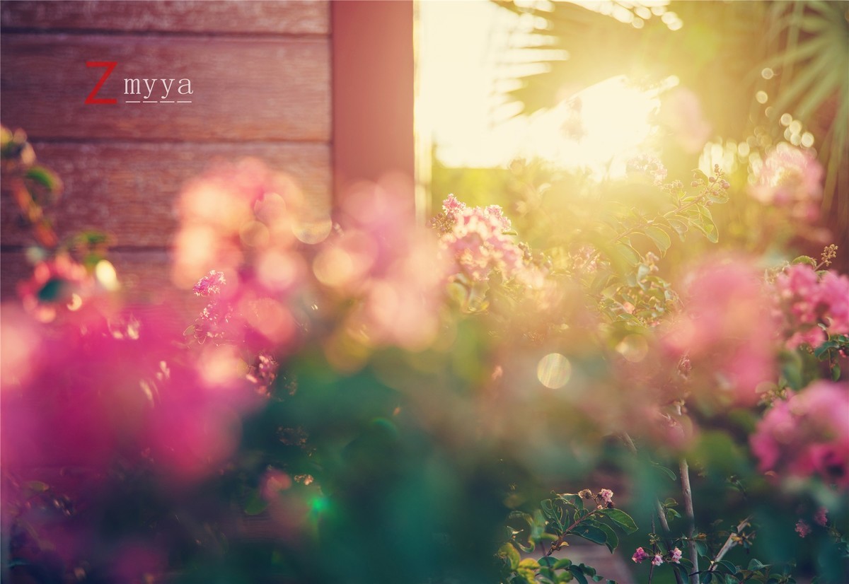 天气不错，体感舒适！手持高 ISO