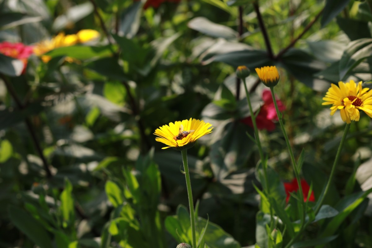拍的越来越好了