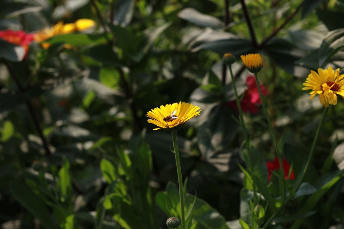 拍的越来越好了