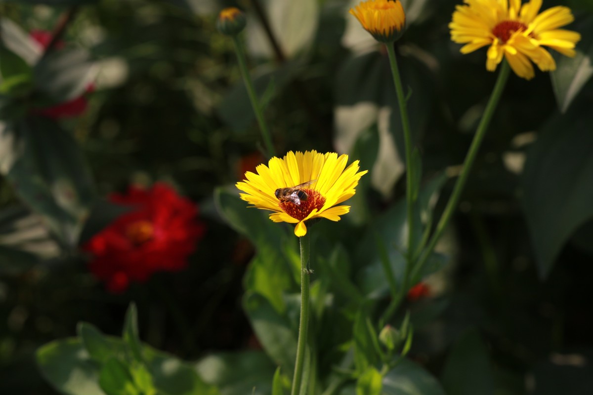 拍的越来越好了