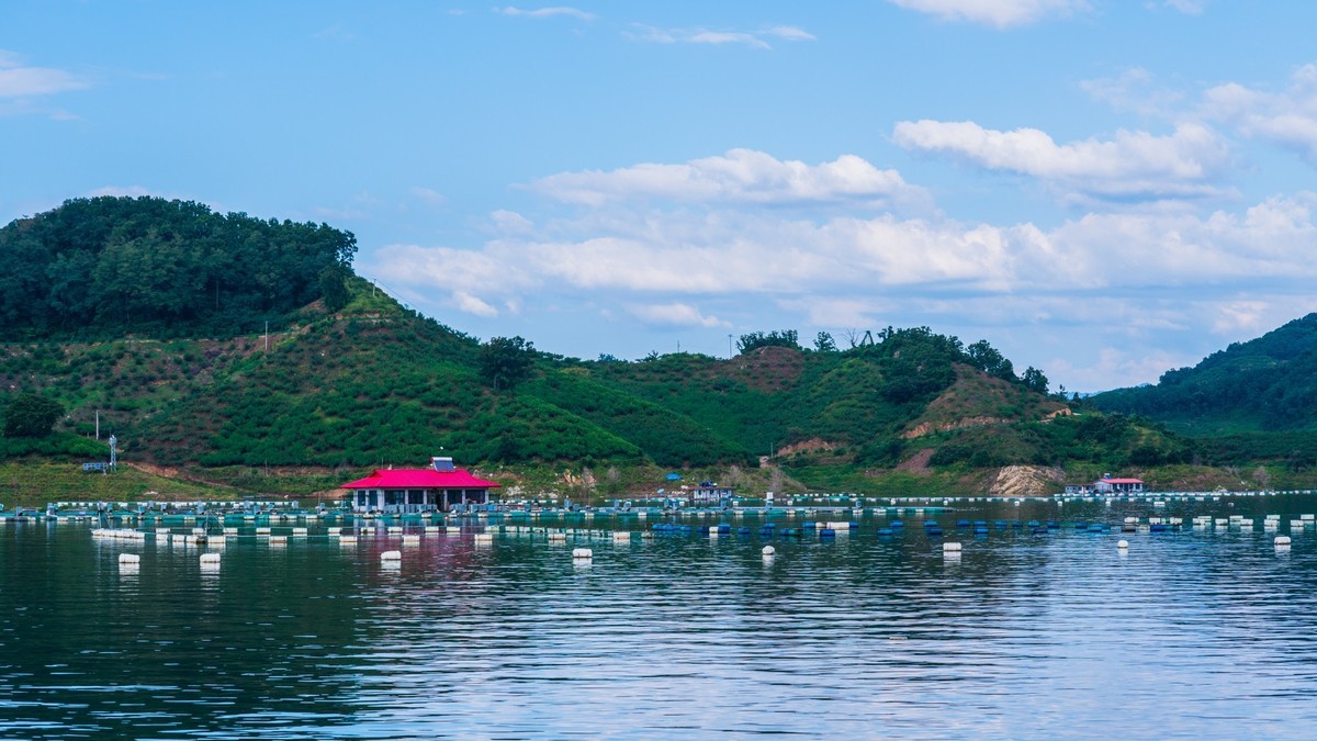 碧波荡漾水丰湖（一）