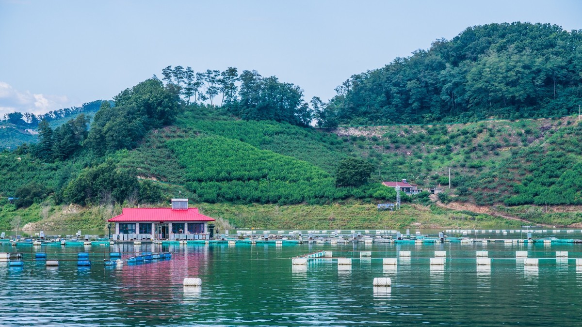 碧波荡漾水丰湖（一）