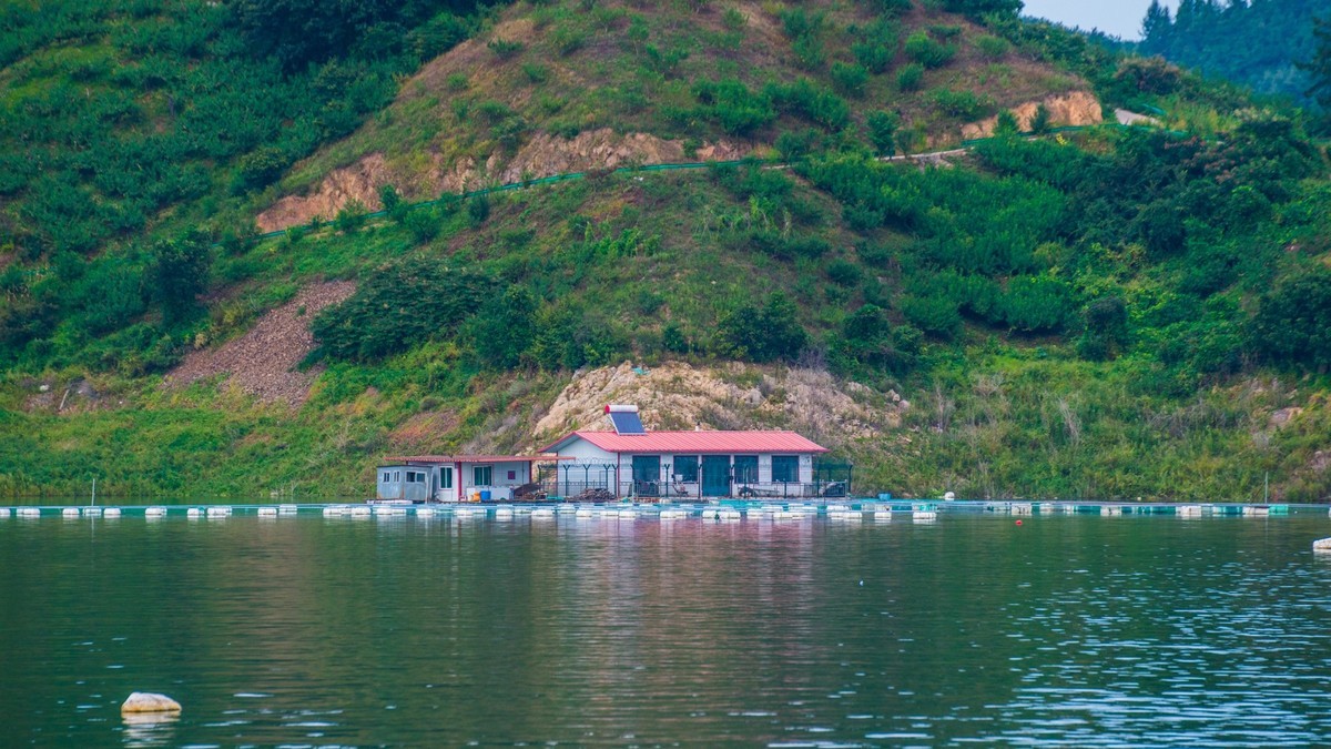 碧波荡漾水丰湖（一）