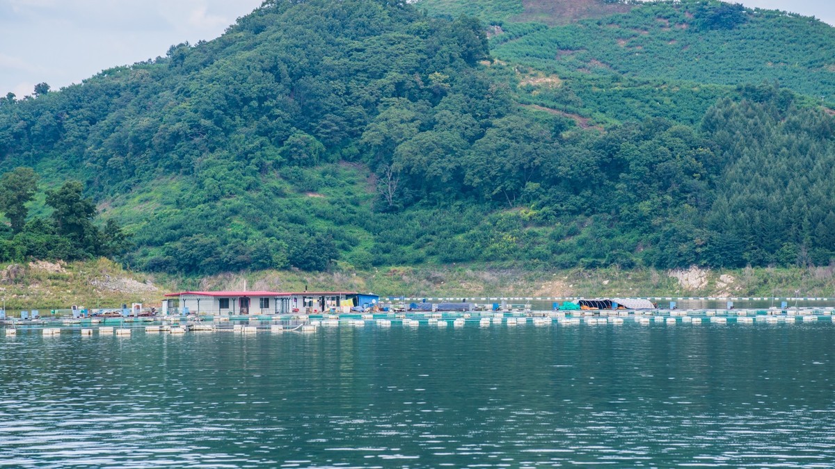 碧波荡漾水丰湖（一）