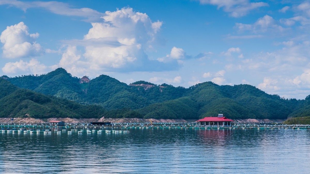 碧波荡漾水丰湖（一）
