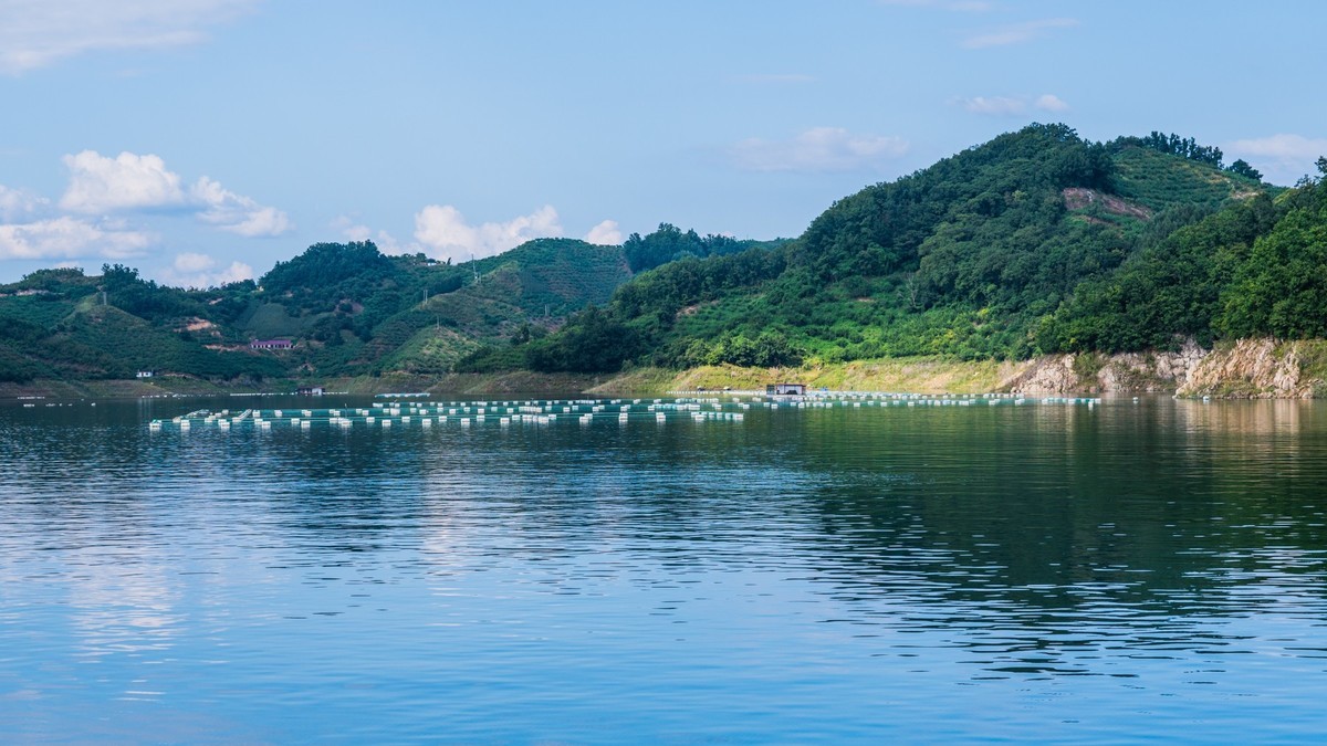 碧波荡漾水丰湖（一）