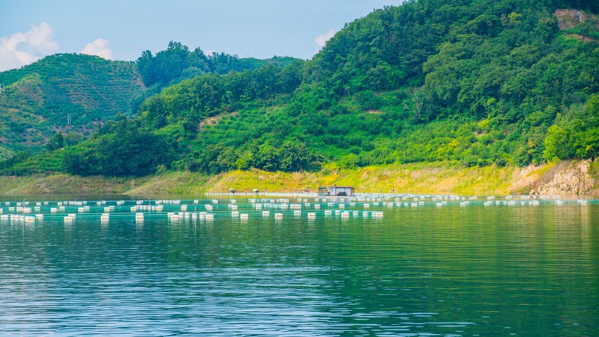 碧波荡漾水丰湖（一）
