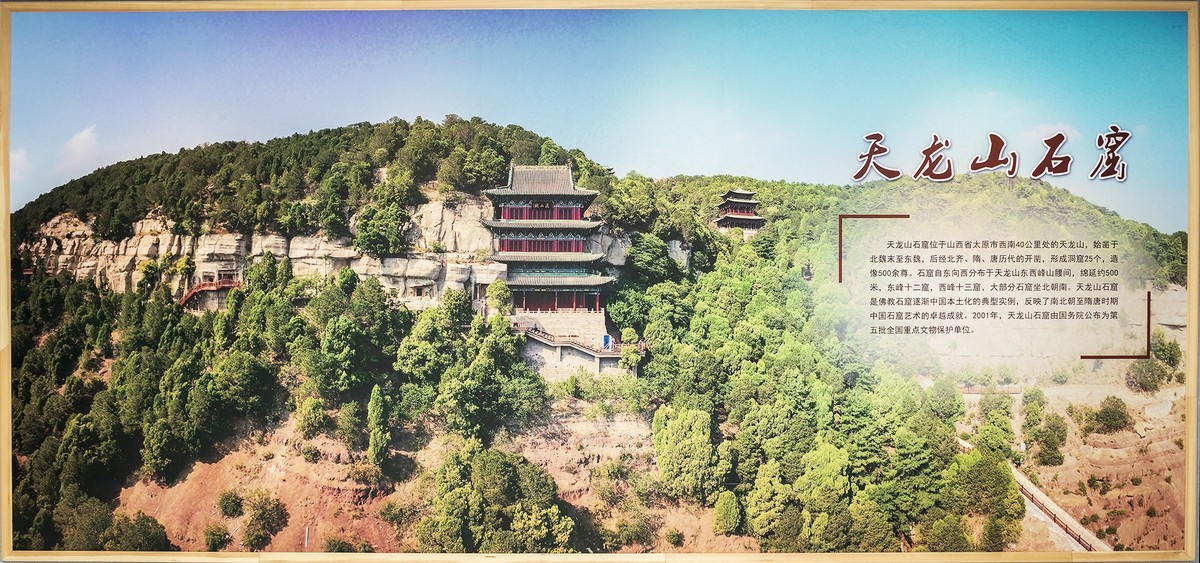 访鲁迅博物馆：一株是枣树，还有一株也是枣树（上）