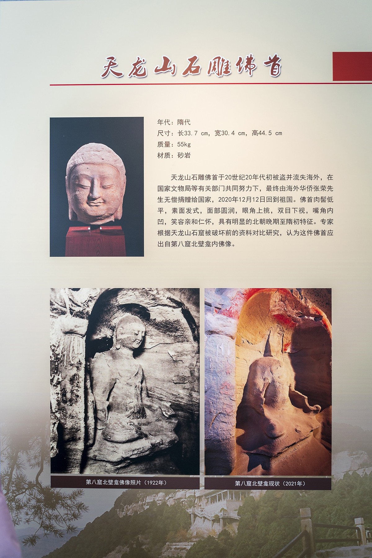 访鲁迅博物馆：一株是枣树，还有一株也是枣树（上）