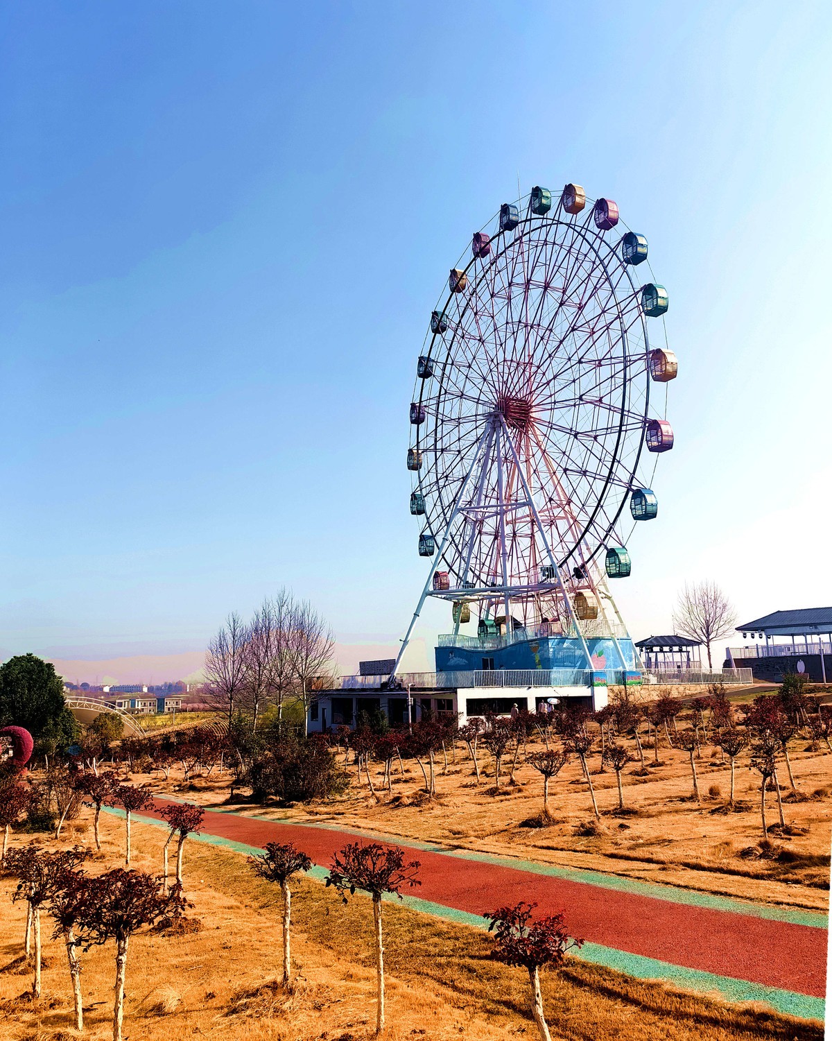 不知名公园春游随拍