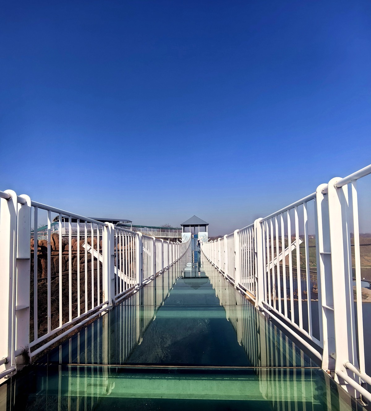 不知名公园春游随拍