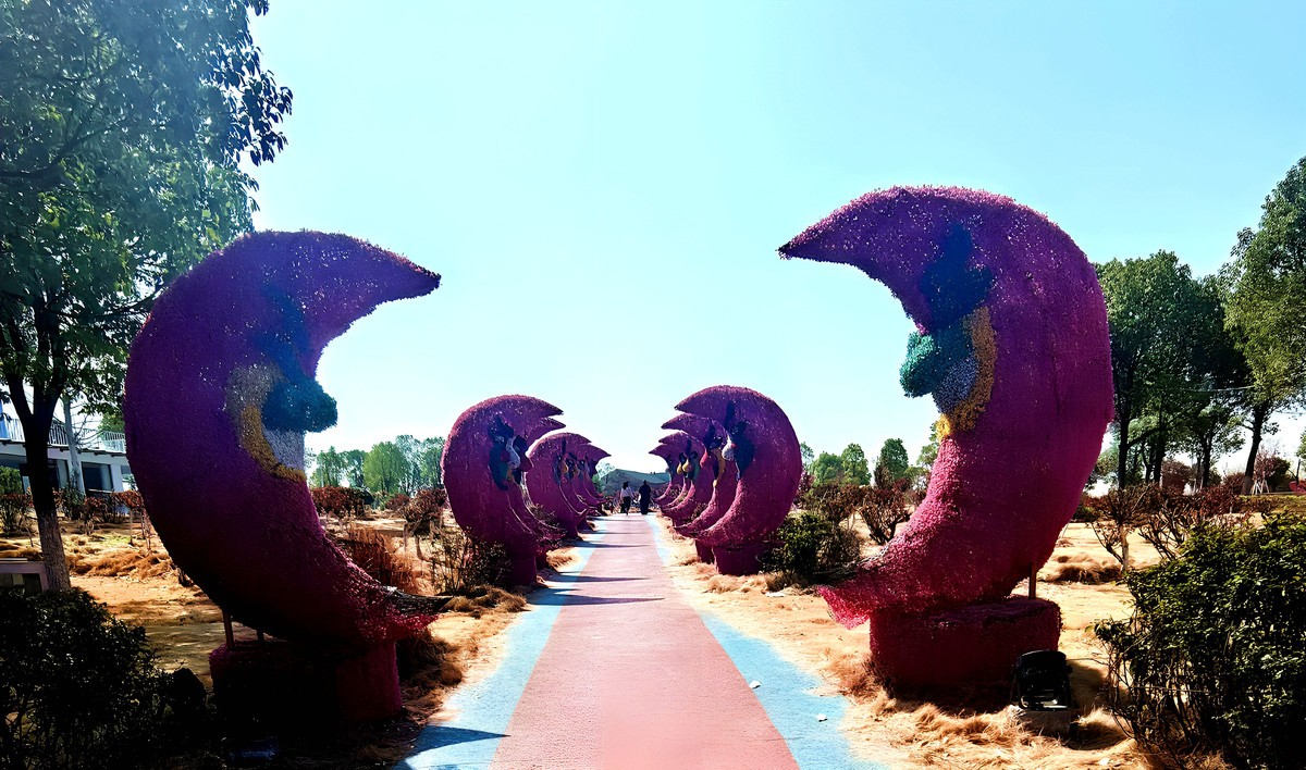 不知名公园春游随拍