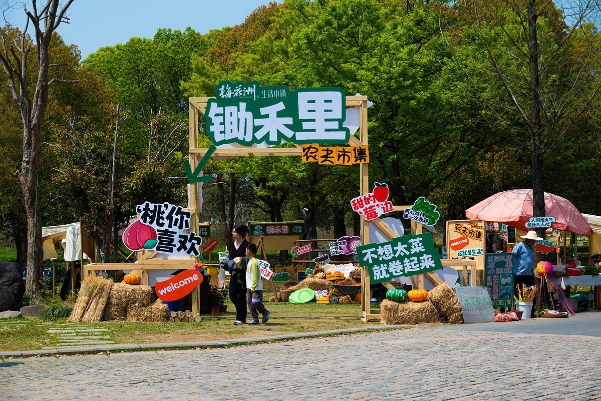 嘉兴梅花洲（二）