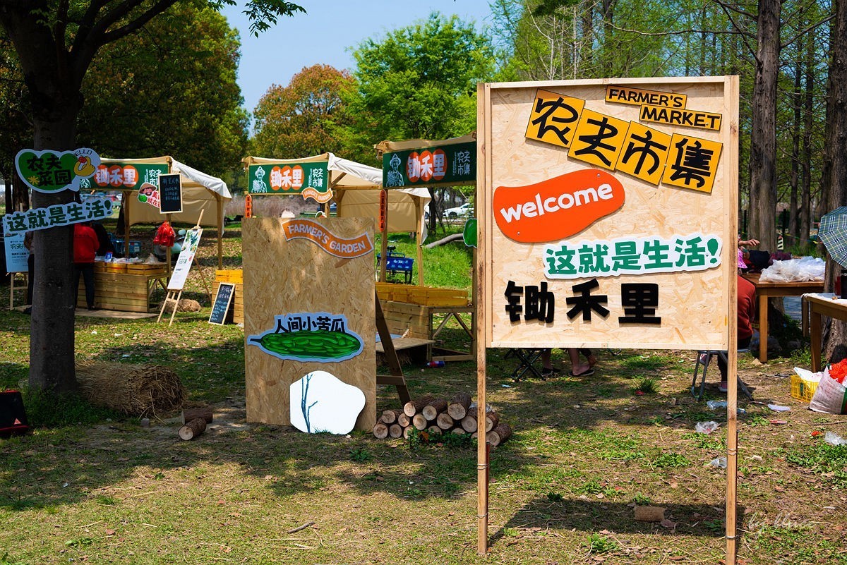 嘉兴梅花洲（二）