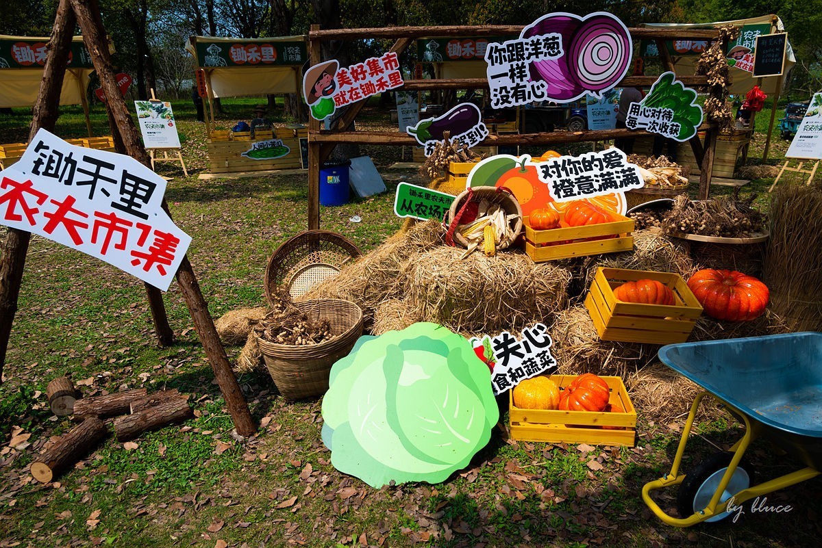 嘉兴梅花洲（二）