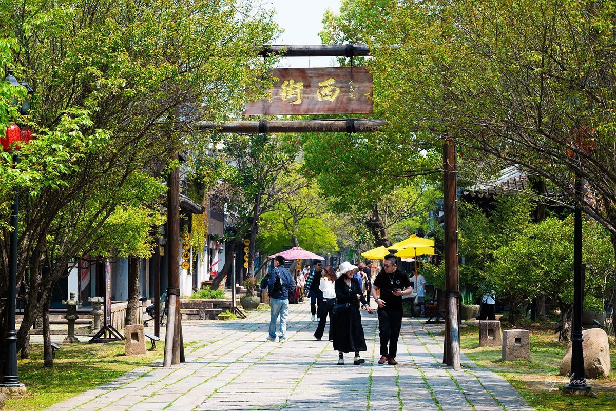 嘉兴梅花洲（二）