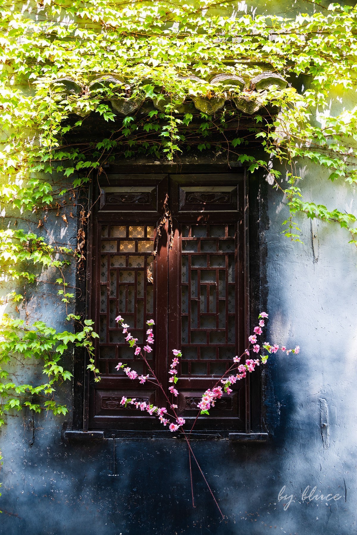 嘉兴梅花洲（二）